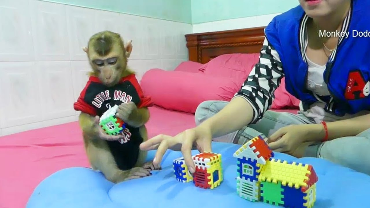 Wow Dodo Excited Play Block Building Game With Mom