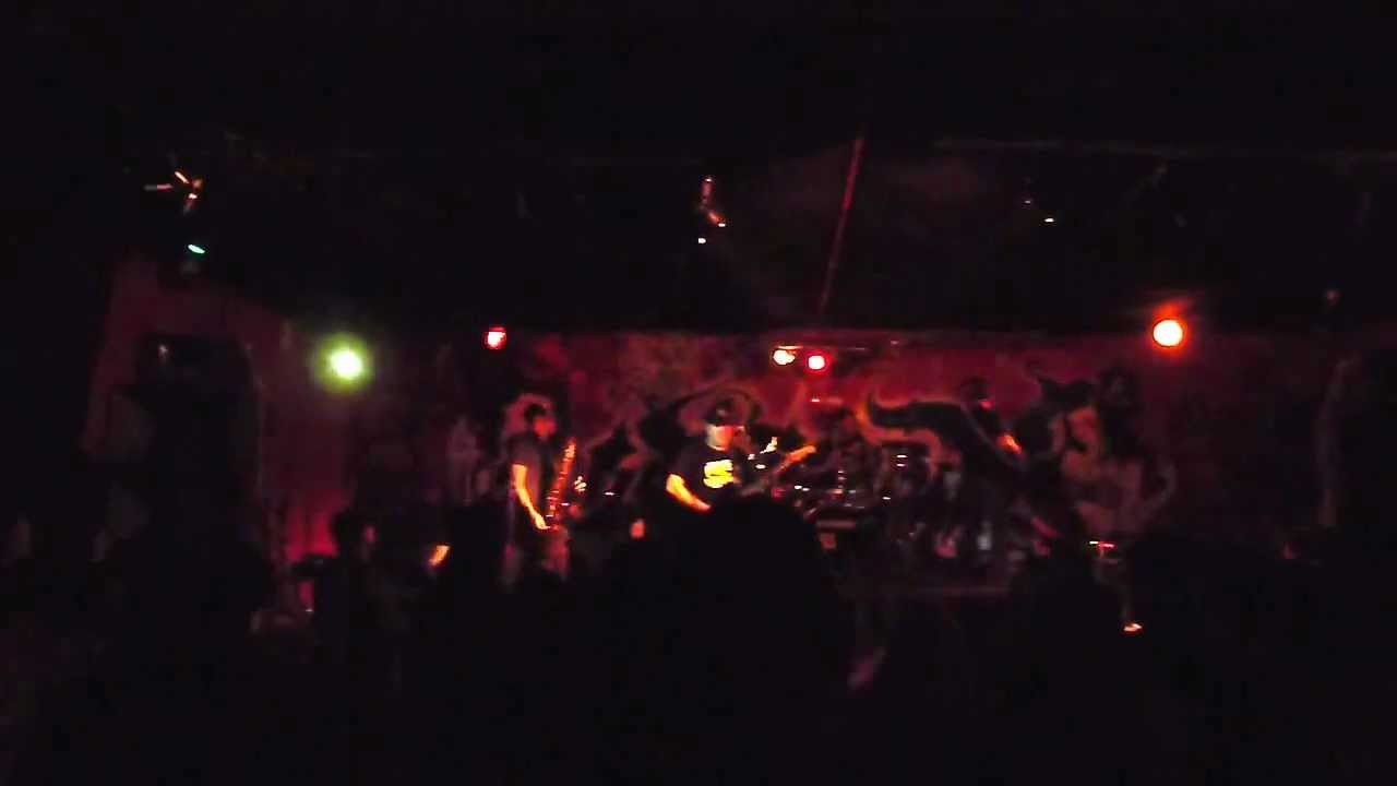 The Toasters YouTube Music