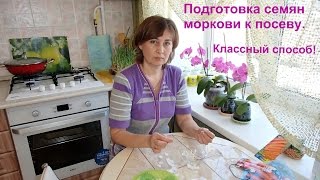 Подготовка семян моркови. Классный метод.