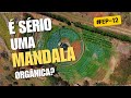 COISAS DO INTERIOR TV #EP12 MANDALA ORGÂNICA