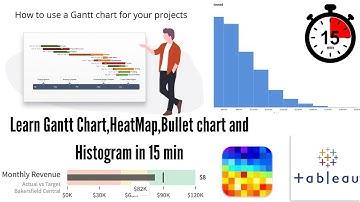 Visualizing in Tableau Part 3 |Gantt Chart| Bullet Chart| Histogram| Heat Map|LearningWith Professor