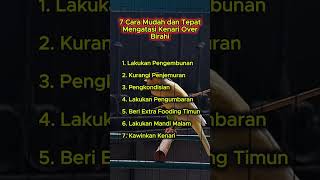Download Lagu 7 Cara Mudah dan Tepat Mengatasi Kenari Over Birahi #kenari MP3