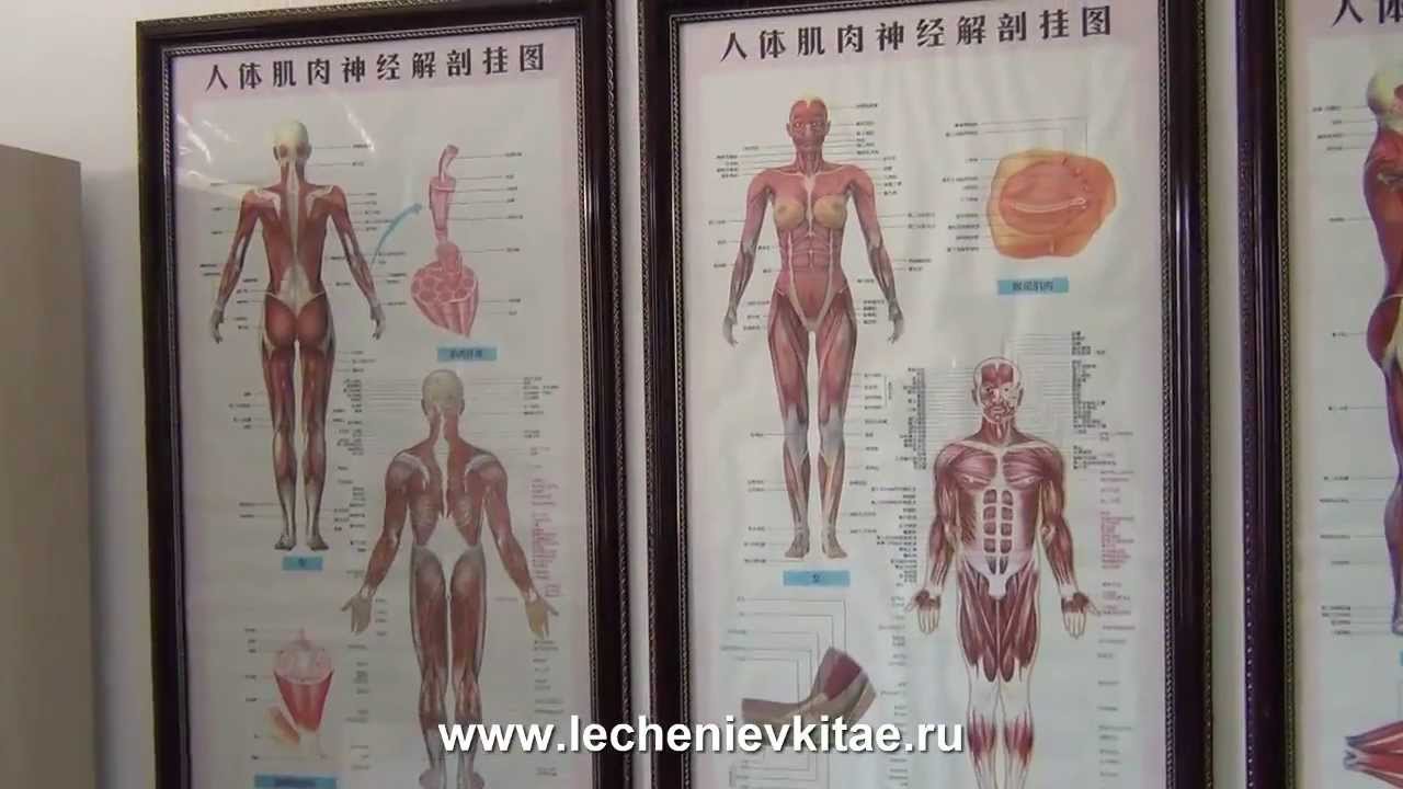 Лечение суставов, ног, спины, позвоночника и его отделов в клинике Китая.