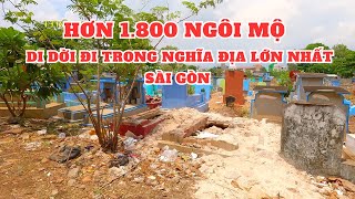 Giải tỏa nghĩa địa Bình Hưng Hòa lớn nhất Sài Gòn