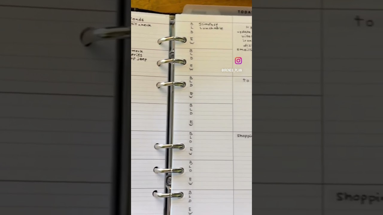 Found this new insert thanks @PeanutsPlannerCo for the freebie