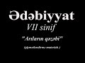 Ədəbiyyat 7 ARILARIN QƏZƏBİ