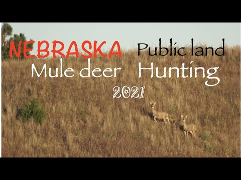 Self Guided Nebraska Mule Deer Hunts