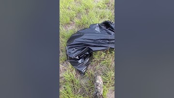 How to Avoid Snakes When Hiking.