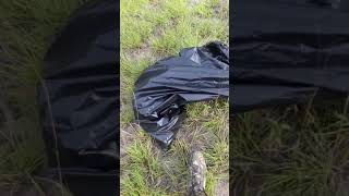 How to Avoid Snakes When Hiking.
