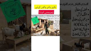 بکریوں کےباڑےکی صفائی اورجراثیم کشی کاطریقہ #GoatCare #FarmSanitation #EnterotoxemiaPrevention