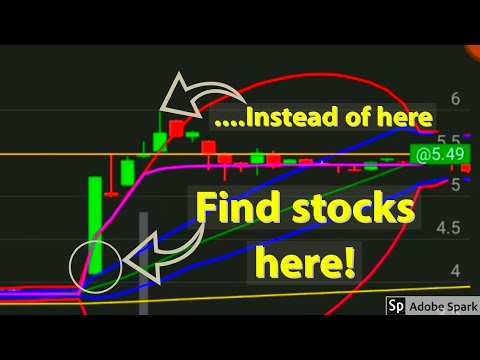 Newt Stock Chart