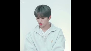 [스트레이키즈 리노 현진 한] 바보라차 큐티라차