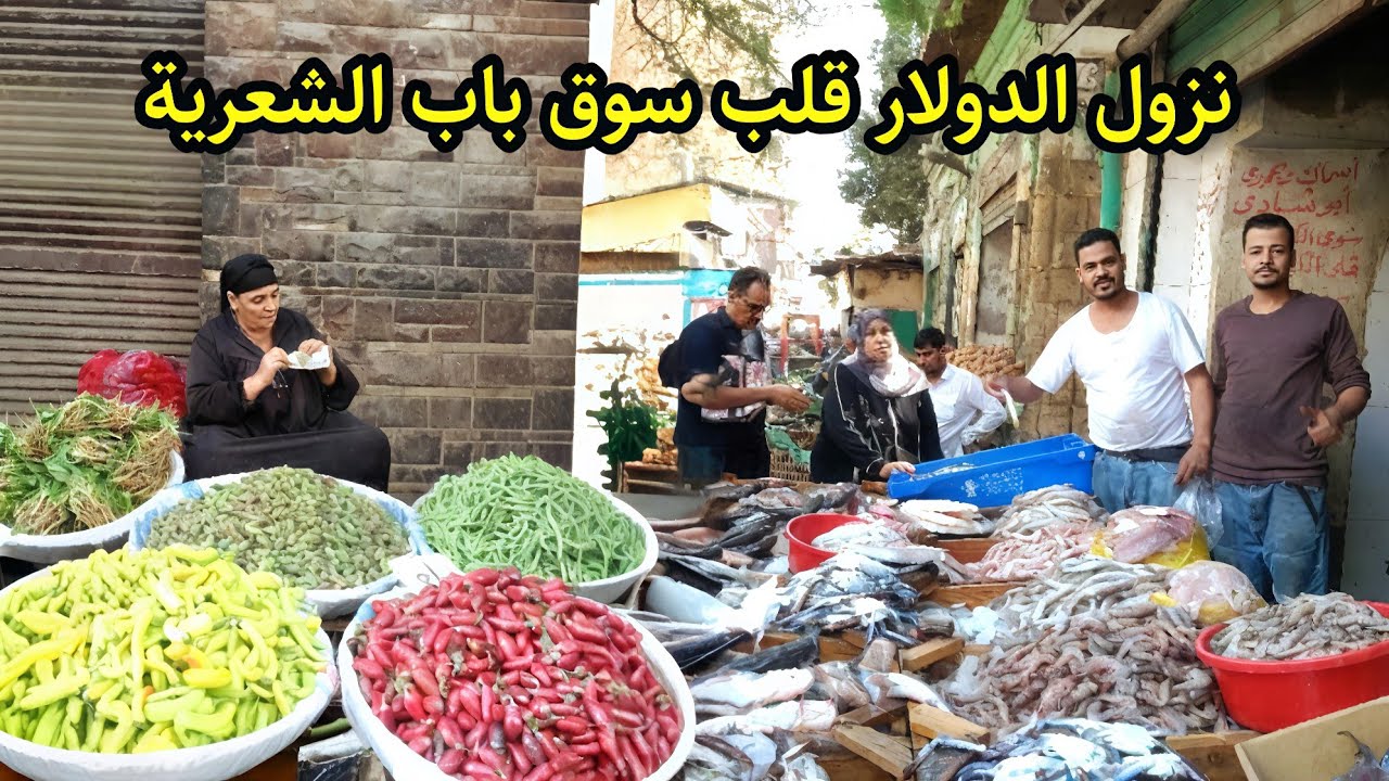 سوق باب الشعرية قلب الدنيا النهاردة 🤯 اسعار الفراخ صدمت الناس والزيتون والسمك مفاجاة 💥
