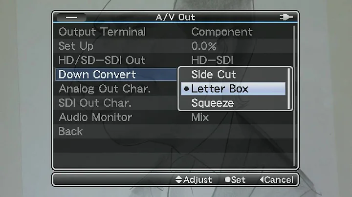 Setting SD Output formats - GY-HM790