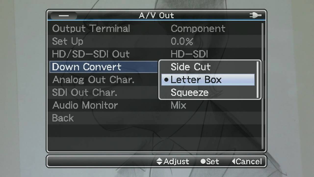 Setting SD Output formats - GY-HM790