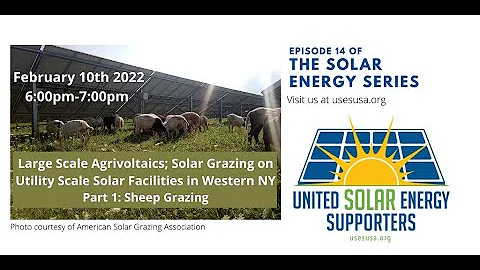 Solar Grazing on Utility Scale Solar Facilities in Western NY Part 1: Sheep Grazing