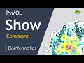 Show Command | PyMOL Tutorial | Molecule Visualization | Bioinformatics | Basic Science Series