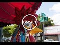 Locals Circle Calle Ocho Locals Circle Calle Ocho