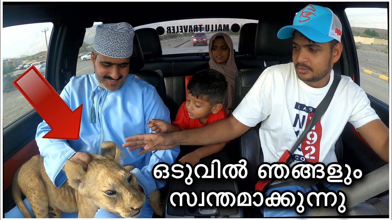 ഞങ്ങൾ സിംഹക്കുട്ടിയെ വാങ്ങി | Lion Cub In Oman