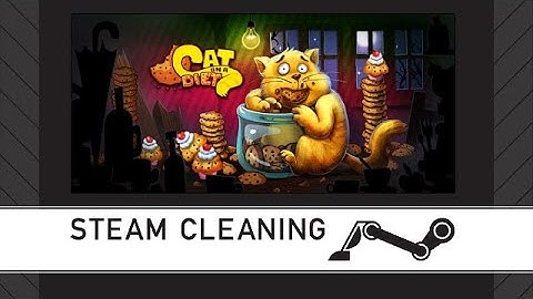 Steam Cleaning - Cat on a Diet