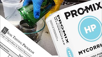 PRO-MIX HP Mycorrhizae Growing Mix - Soil Lab Test, Slurry & Review - PROMIX