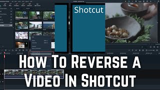 How To Reverse a Video In Shotcut