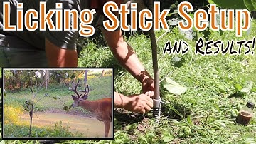 Full Licking Stick Setup and Results "Upper Pond"