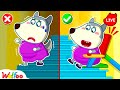 🔴 LIVE: Stair Slide Adventure | Fun Story | Safety Rules | Wolfoo Family