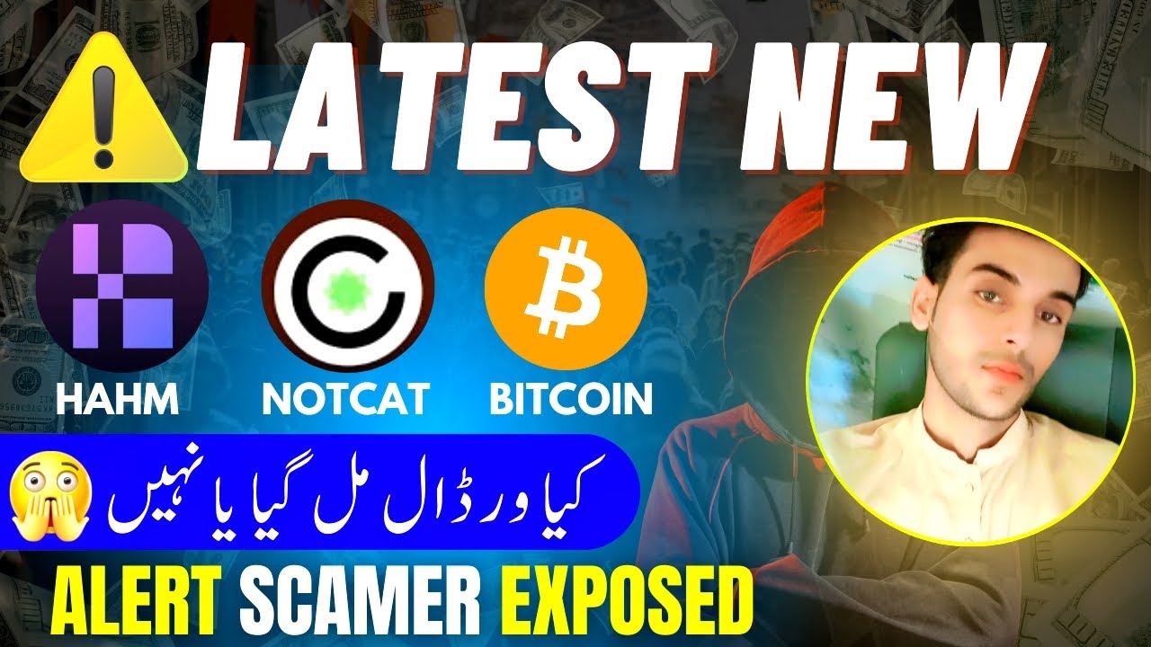 Scamer Exposed In 2025 || HAHM Scam || Notcat Scam || How To Avoid From Scamer