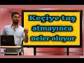 Bayram meral-Keçiye taş atmayınca neler oluyor görelim