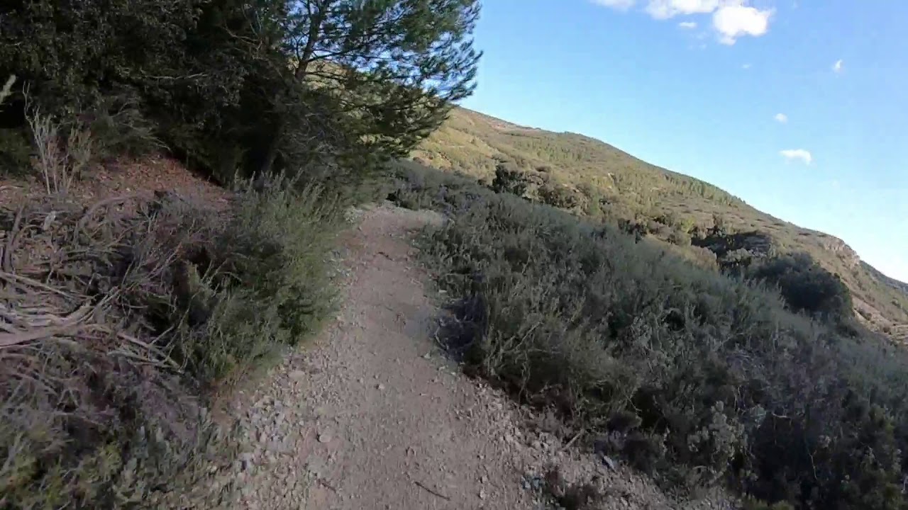 Senda de La Coneja (Siete Aguas)