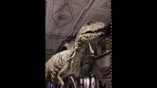 IMG 7395