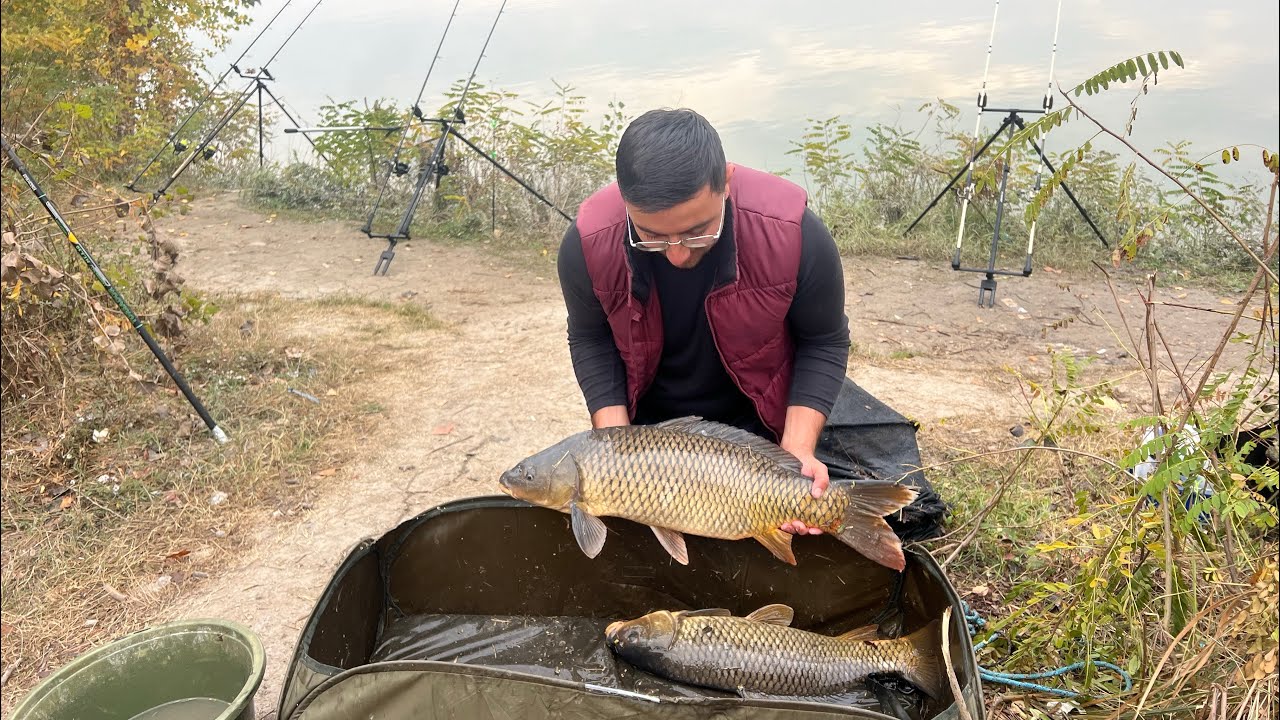 CRAPI de DUNĂRE la -2 grade. Aceeași momeală câștigătoare atât la CRAP cât și la MREANĂ