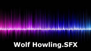 Wolf Howling SFX - Royalty Free Sound Effect