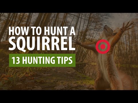 Come cacciare uno Squirrel - 13 Hunting Tips