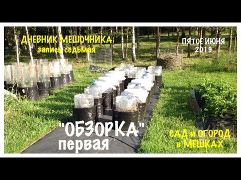 Мой ОГОРОД в МЕШКАХ. "ОБЗОРКА" первая от 5июня.ДНЕВНИК МЕШОЧНИКА 2019.ЗаписьN7.The GARDEN in BAGS.
