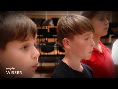 (K)ein Unterschied? - Singen und klingen Mädchen anders als Jungen?