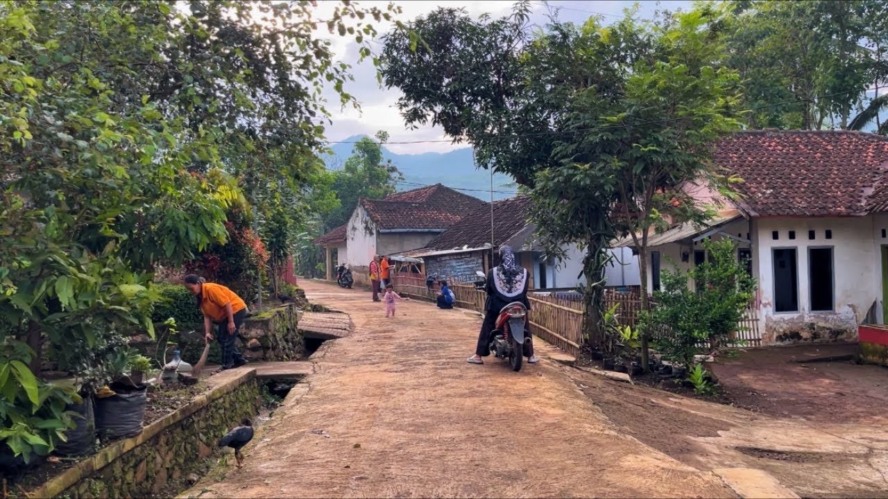 Сельская атмосфера деревни Раджаполах Чибихбул Чибату до сих пор остается первозданной, а прохлад...