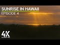 Calming Morning Tropical Sounds for Relax &amp; Peace - Amazing Sunrise at Big Island, Hawaii - #4