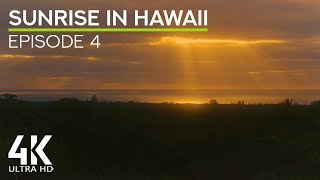 Calming Morning Tropical Sounds for Relax & Peace - Amazing Sunrise at Big Island, Hawaii - #4