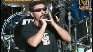 Needles- System of a down (Live)