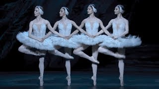 Swan Lake – Dance of the cygnets (The Royal Ballet)