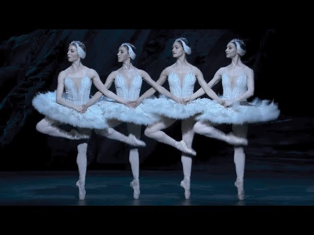 Swan Lake – Dance of the cygnets (The Royal Ballet) class=