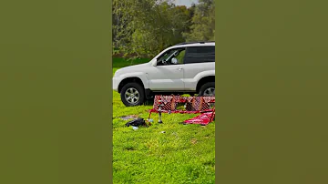 محمد البصيلي دحية دحيه 