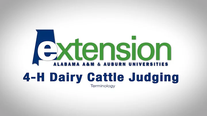 4-H Dairy Cattle: Judging Terminology