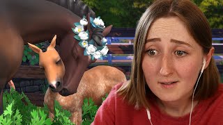 RAGS TO RICHES: HORSE EDITION (Streamed 7/23/23)