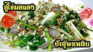 อู๋ไข่มดแดง | อาหารอีสานพื้นบ้าน | ป้าอุ๊พาเพลิน