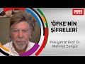 'Öfke'nin şifreleri - Psikiyatrist Prof. Dr. Mehmet Sungur