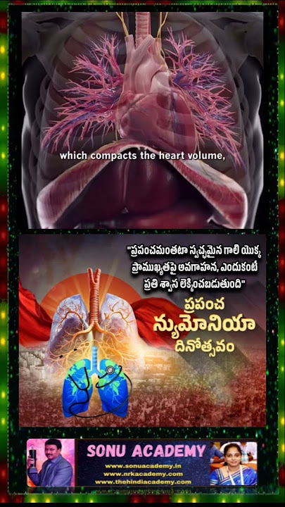 Nimoniya health care #motivation #viral #love #trending #viralvideo #subscribe #festivewithshorts