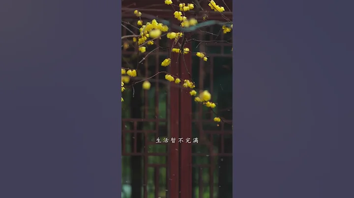 2022年的最后一个月，祝您及家人事事顺心，平平安安 #祝福 #十二月你好 - 天天要闻